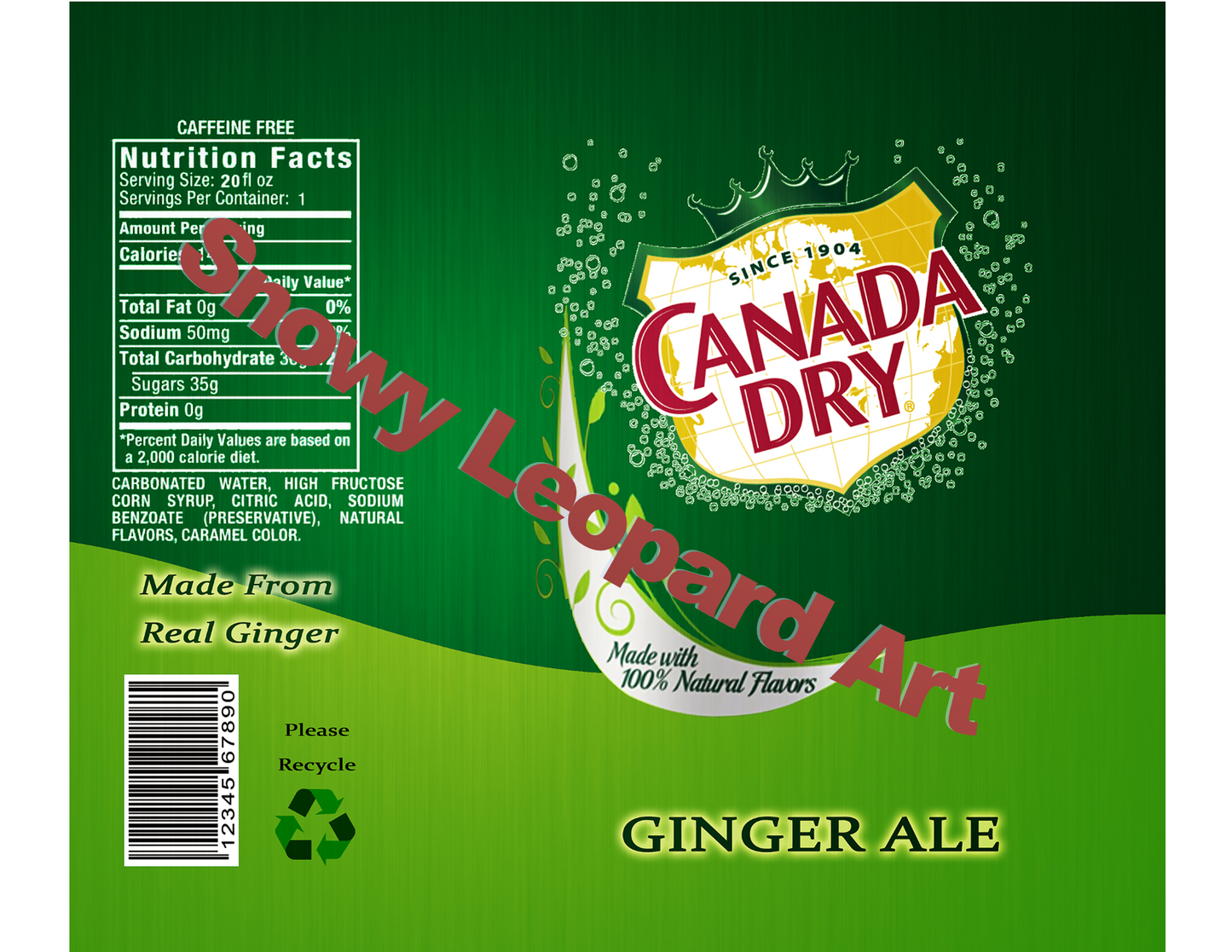 Canada Dry Ginger Ale 20oz Straight Hot/Cold Tumbler with Lid and Straw